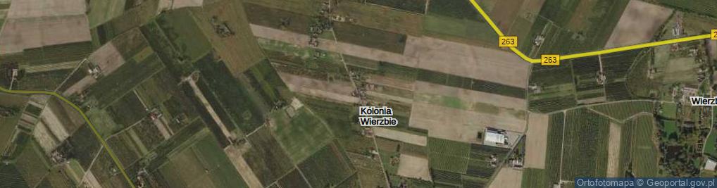Zdjęcie satelitarne Kolonia Wierzbie ul.